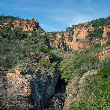 Blavet Villa Roquebrune-sur-Argens Eksteriør bilde